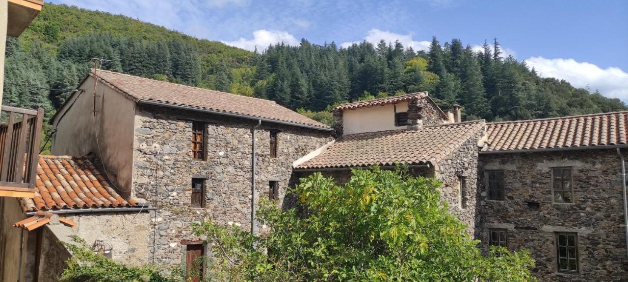 Gite D'Aigoual ヴァルローギュ エクステリア 写真